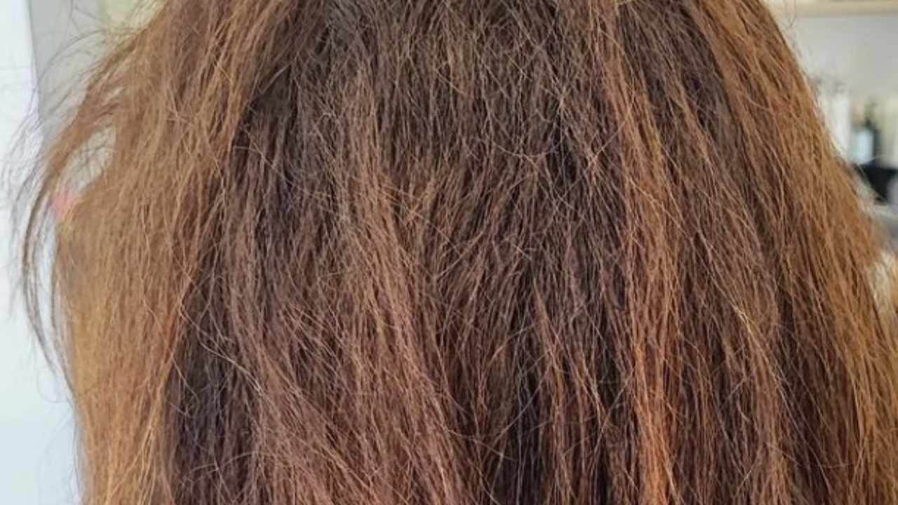 Capelli secchi rimedi naturali