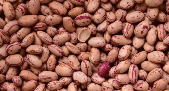 Legumi, come mangiarli per evitare il gonfiore alla pancia