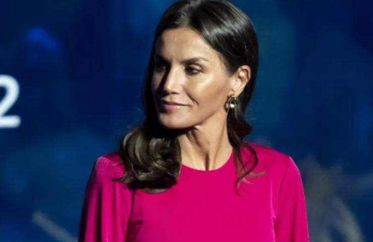 Letizia Ortiz fantastica 