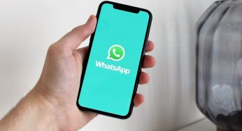Whatsapp, addio screenshot: la notizia che nessuno voleva, ma è questione di privacy