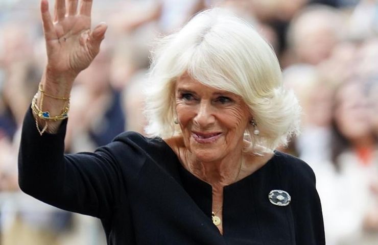 la spilla con i cardi scelta da Camilla significato