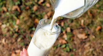 Latte in casa, non lo bere ma fai questo: ne esce qualcosa di fantastico