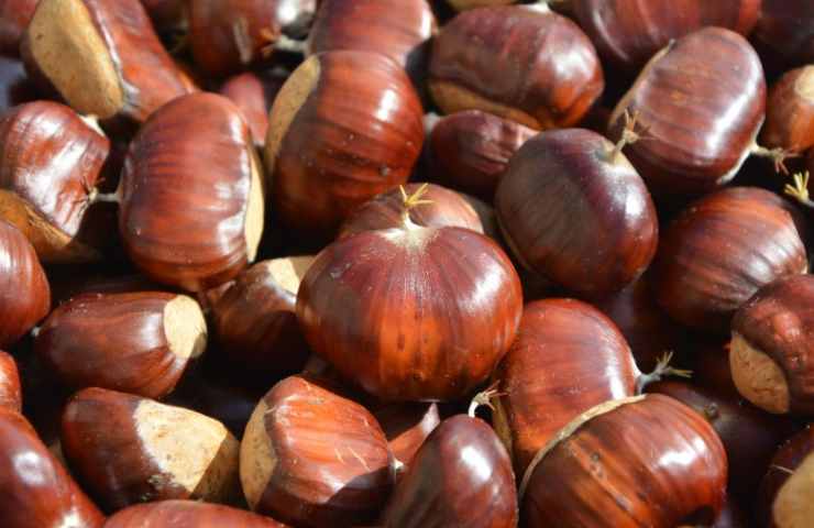 ricetta castagne al vino