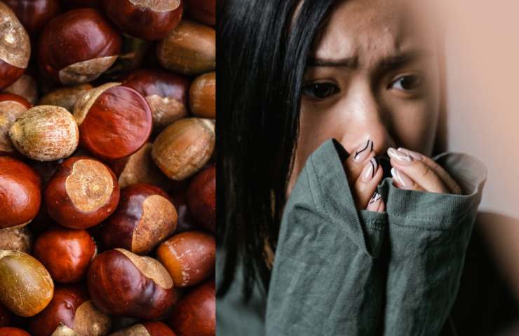 Castagne: cosa succede se si esagera