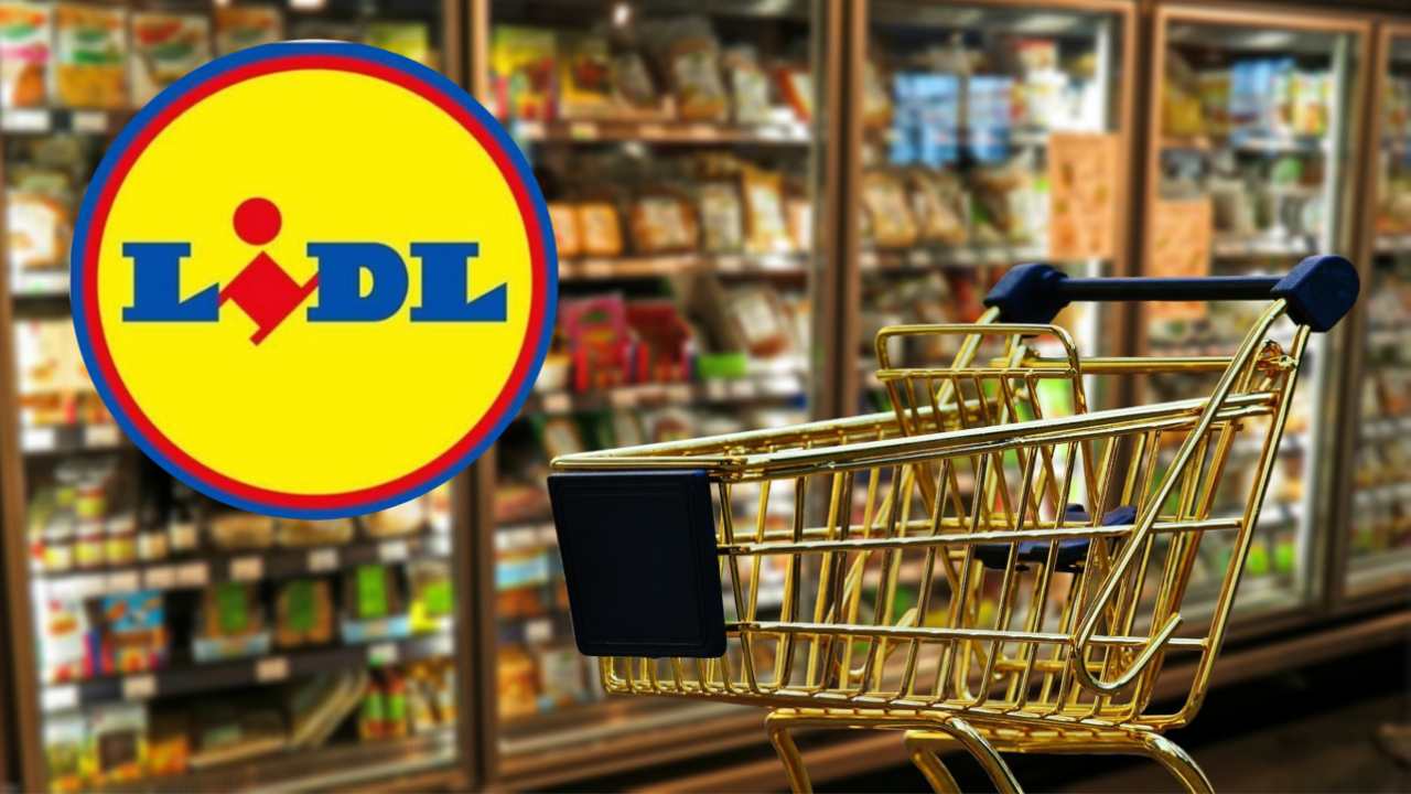 Lidl