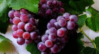 Uva, puoi usarla come anti-age: questi 5 trattamenti ti rivelano come