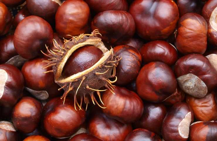 castagne