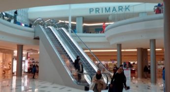 Primark: oggi è possibile decorare tutta casa con pochi Euro