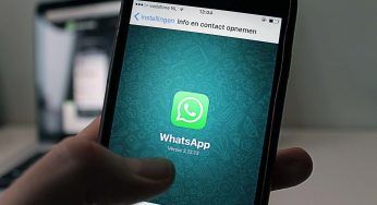 WhatsApp, addio spioni con questo infallibile trucco