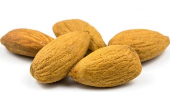 Frutta secca, perché è fondamentale mangiarla ogni giorno
