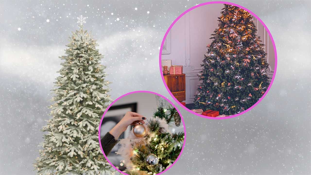 Affittare l'albero di Natale: come funziona