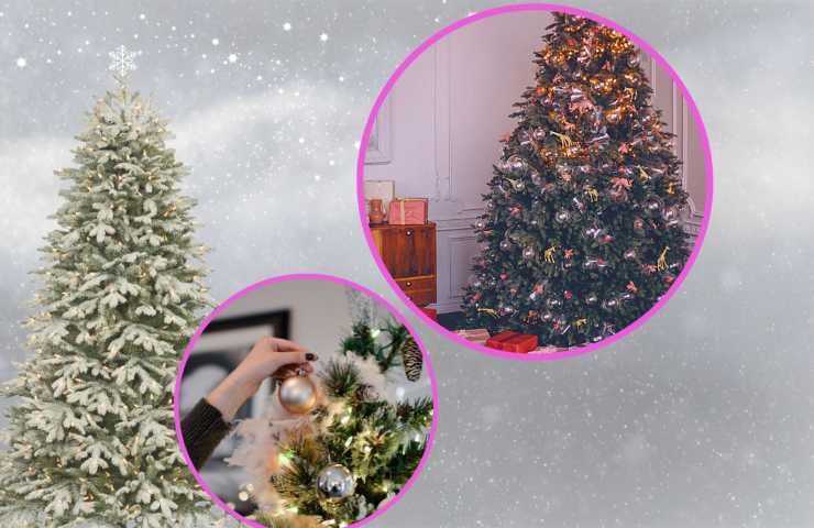 Affittare l'albero di Natale: come funziona