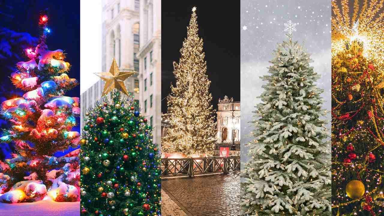 Alberi di Natale: i più spettacolari al mondo