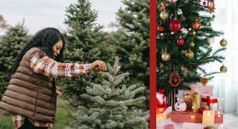 Albero di Natale, origini e storia del simbolo natalizio per eccellenza