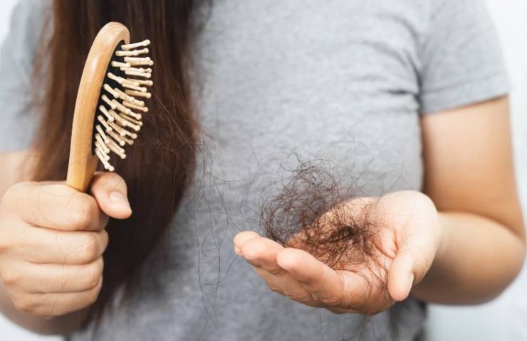 capelli secchi avocado