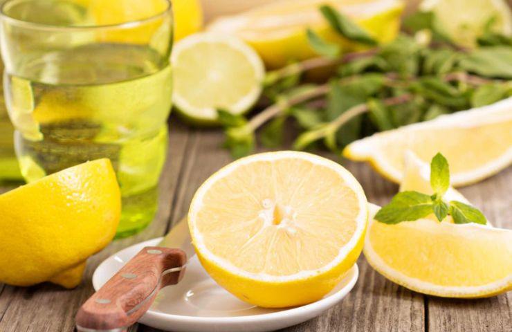 Infuso ortica limone