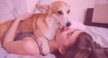 Farsi leccare la faccia dal cane è pericoloso? La verità è sconcertante, lo dice la scienza