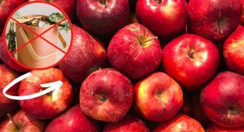 Non buttare via le bucce di mela: se le metti in forno diventano un piccolo “tesoro”