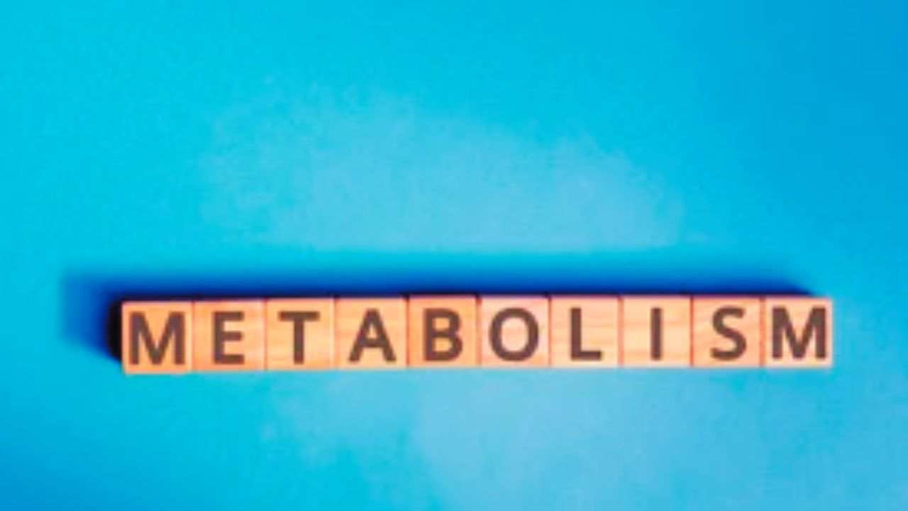 metabolismo