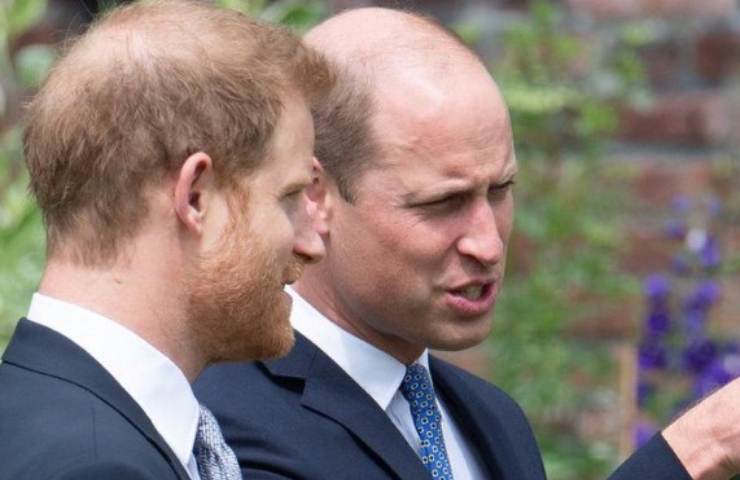 william harry comportamento corpo