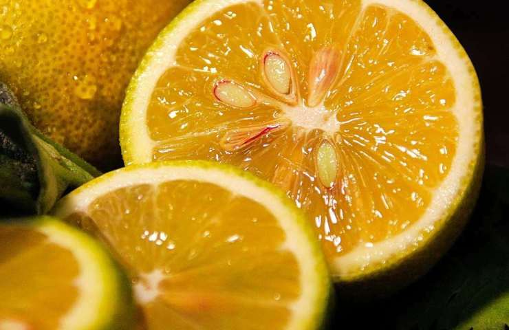 Limone marinato 