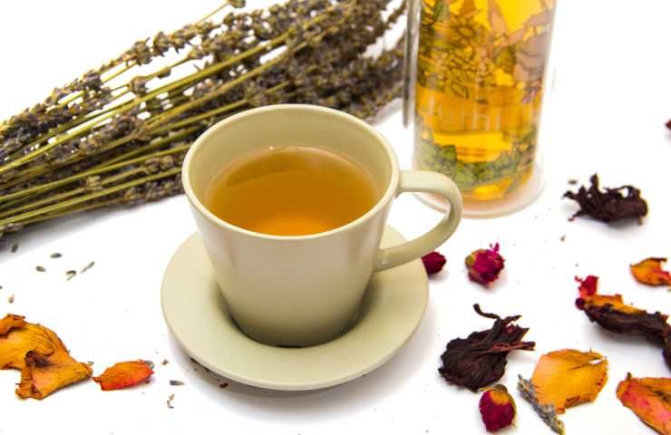 Tisana depurativa effetto drenante digestione diuresi relax