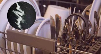 Lavastoviglia: risparmia con un ingrediente segreto che hai a casa tua!