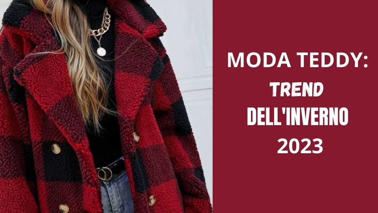 moda teddy