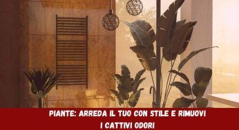 Piante: le migliori per arredare il tuo bagno sono queste, bellissime e profumate