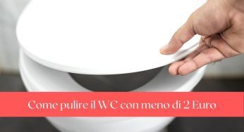 Wc pulito in men che non si dica e con soli 2 Euro. Ti occorre un unico prodotto!