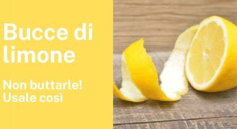 Bucce di limone, il motivo per cui dovresti metterle alla finestra: è fondamentale!!!