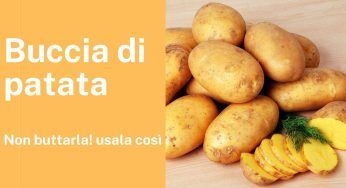 Buccia di patata, non la buttare!!! Se ci fai questo, la trasformi in qualcosa di impressionante
