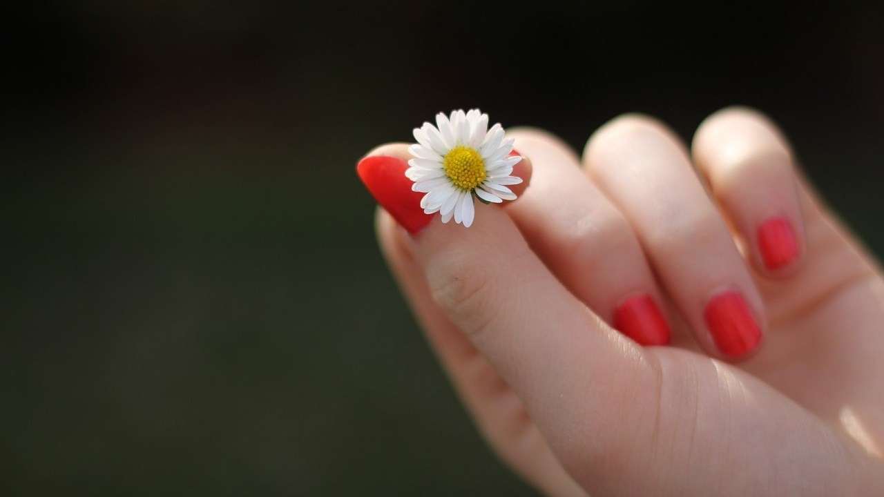 Manicure rossetto