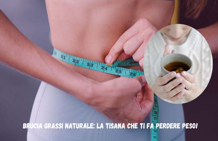 brucia gassi tisana