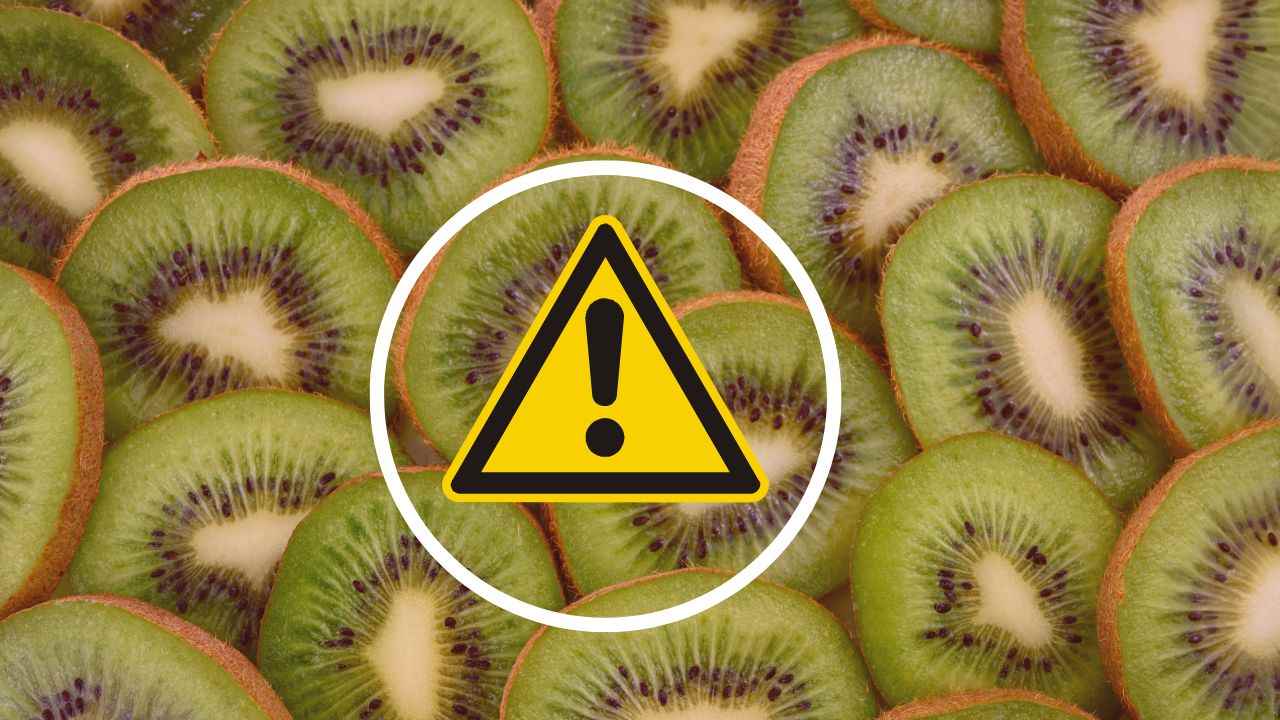 kiwi