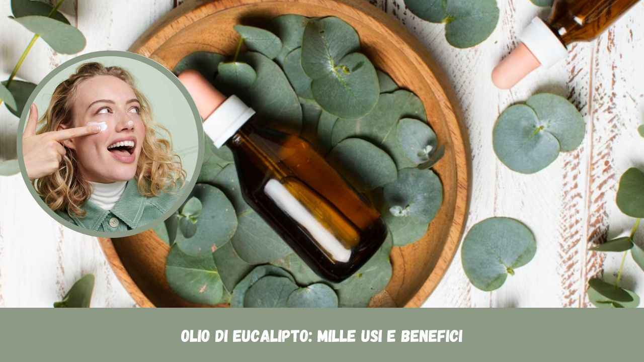 olio di eucalipto