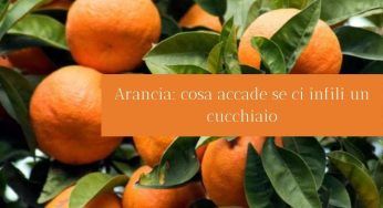 Sai cosa accade se infili un cucchiaio in un’arancia? Un risultato fenomenale!