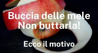 Buccia delle mele, non buttarla: usala così, il risultato è strabiliante