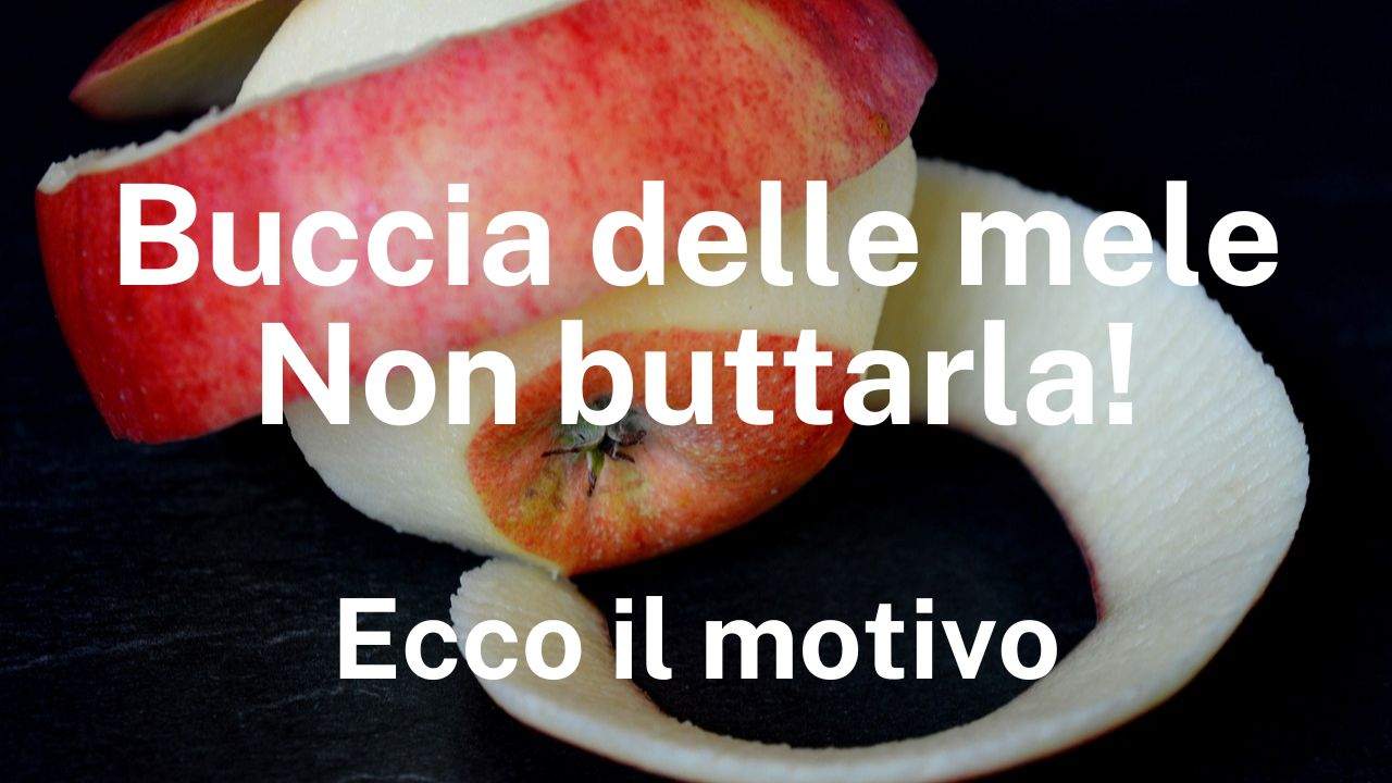 buccia delle mele non buttarle