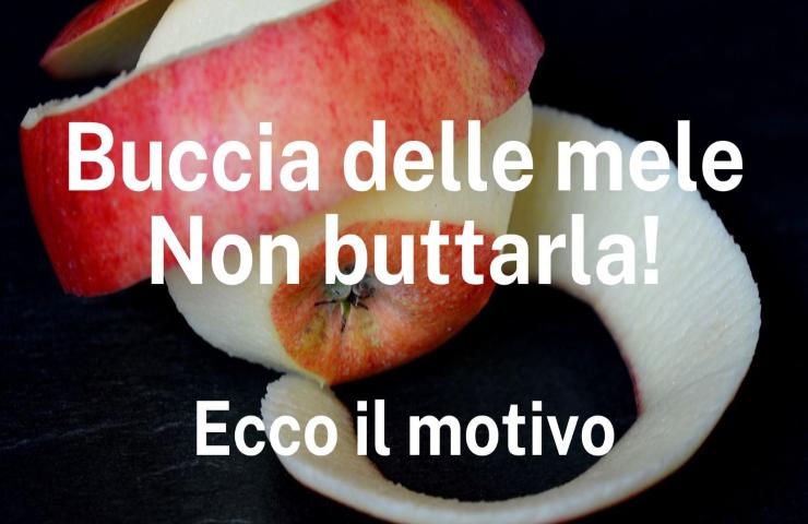 buccia delle mele non buttarle