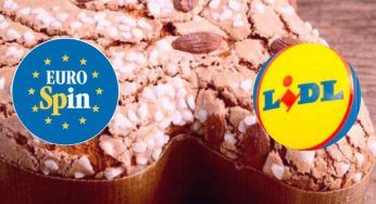Colombe di Pasqua Lidl ed Eurospin: sai cosa c’è dietro? Da brividi…