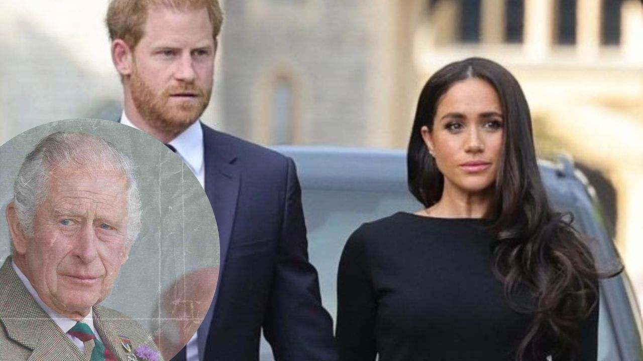 harry meghan sfratto will kate