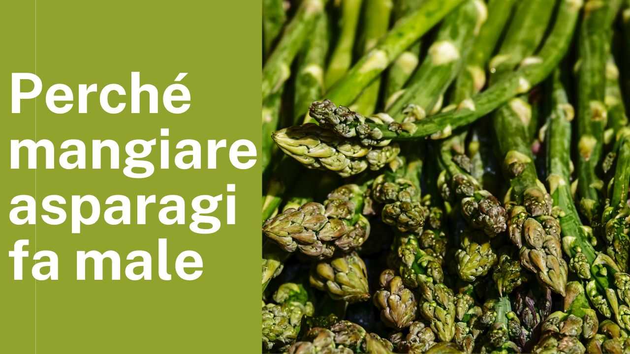 mangiare asparagi fa male chi deve evitarli