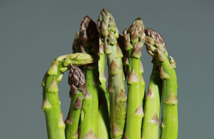 mangiare asparagi fa male chi deve evitarli