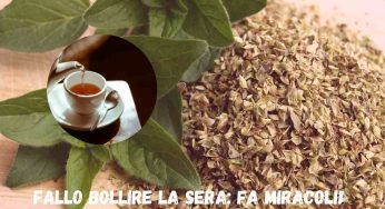 Origano, dovresti farlo bollire la sera: hanno iniziato a farlo tutti, c’è un motivo strabiliante