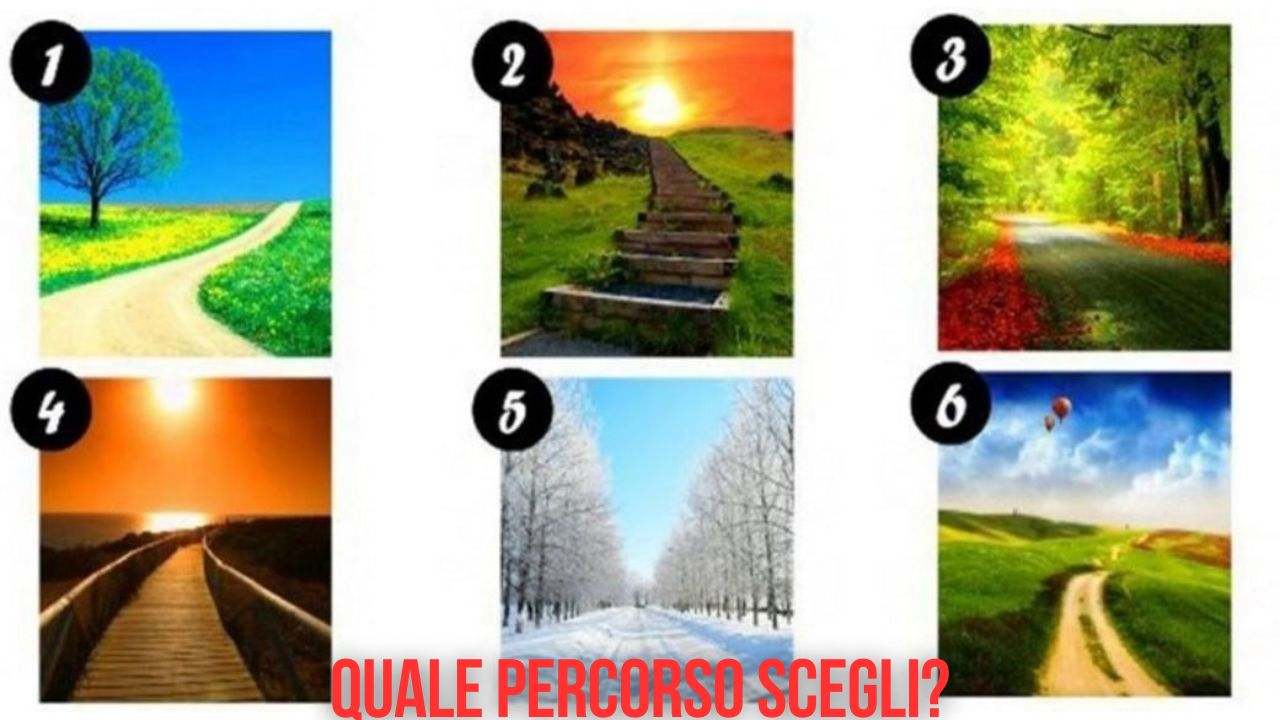 test quale percorso scegli?