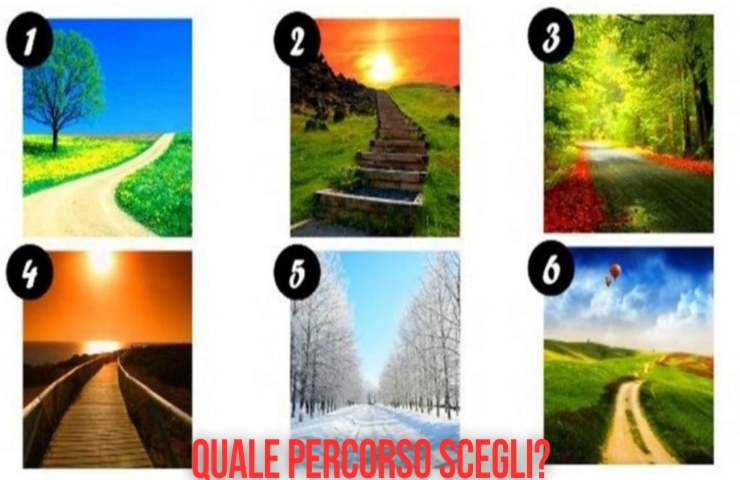 test quale percorso scegli?