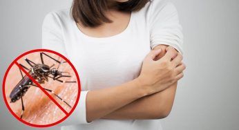 Clamoroso: ti bastano solo 20 centesimi per avere un anti zanzare top!