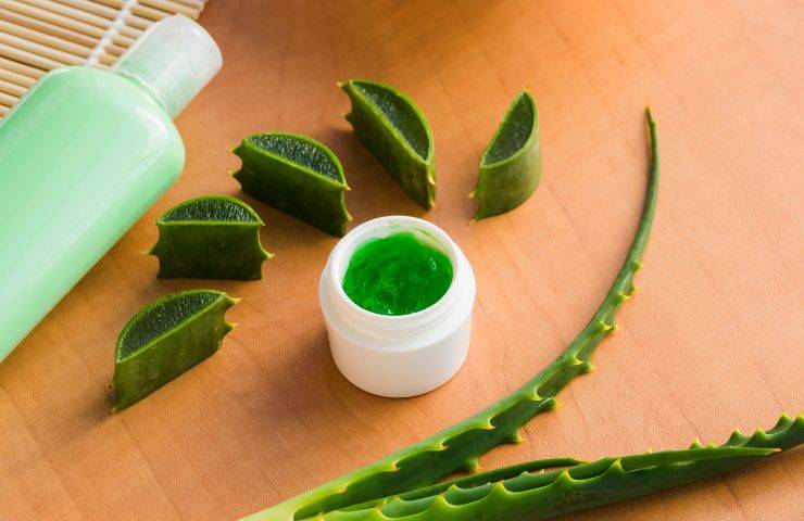 prodotti aloe vera