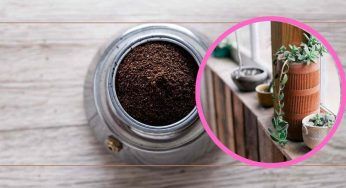 Fondi di caffè, NON buttarli: facci questo, stanno provando tutti